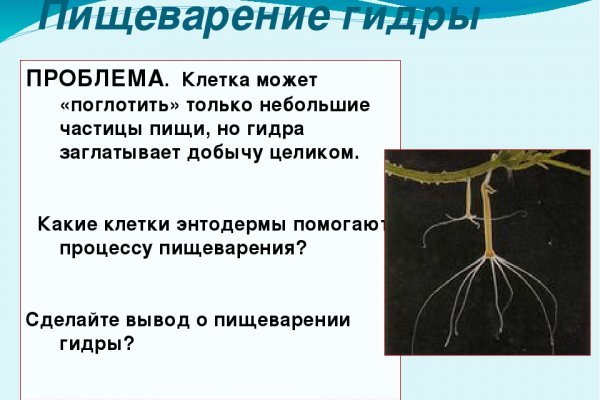 Кракен сайт как зайти