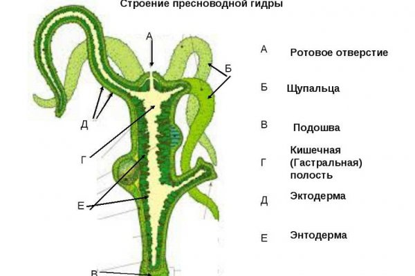 Даркнет площадки