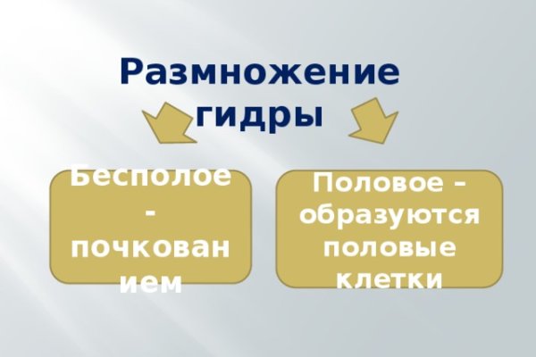 Kraken ссылка onion 2kmp